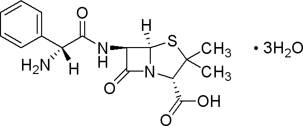 619x257