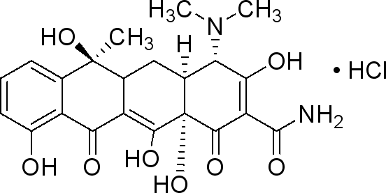 552x277