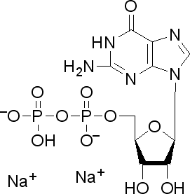 271x277