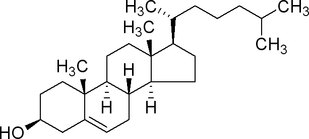 613x277