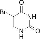 137x131