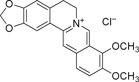 462x275