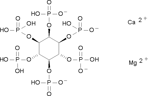 592x384