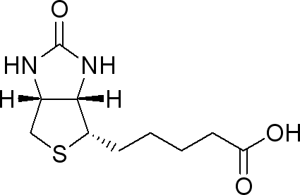 425x277