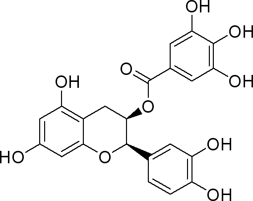 510x405