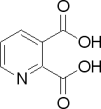 144x155