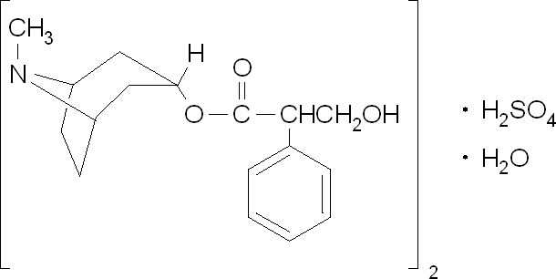 610x306