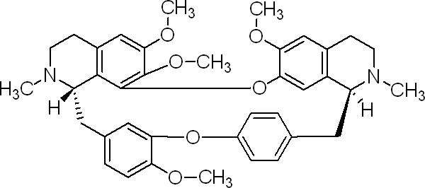 600x266