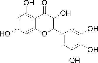 334x216